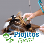 11800330_859051604176388_5474647558742028439_n R