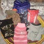 2015 la buena oct3 R