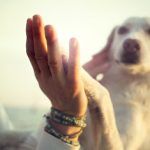 ThinkstockPhotos-518590630 copia 2RR