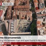 Aparecen los restos del Homo Alcorconensis, origen de la especie humana.
