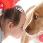 Seguro de Mascotas con SegurCaixa Adeslas Alcorcón