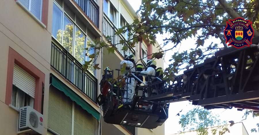 El día 5 de octubre los bomberos de Alcorcón intervienen en la vivienda de un fallecido en avanzado estado de descomposición. Esta actuación ha sido en la Calle Mayor con la Calle Alameda. También ha colaborado el cuerpo de la Policia de Alcorcón.
