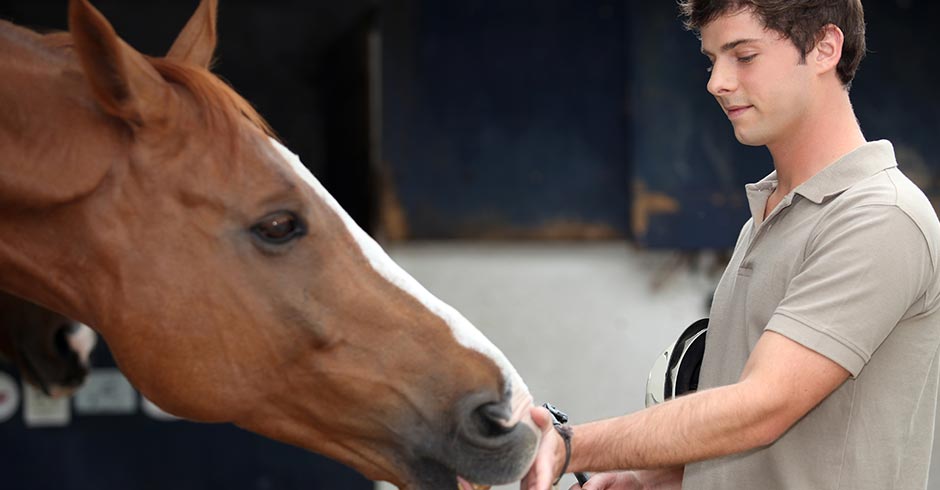 terapia asistida con caballos