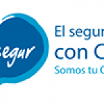 Logo Saludsegur