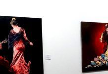 Confluencias flamencas en Alcorcón