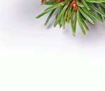 Fiestas de Navidad Alcorcón 2019