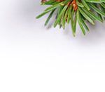 Fiestas de Navidad Alcorcón 2019