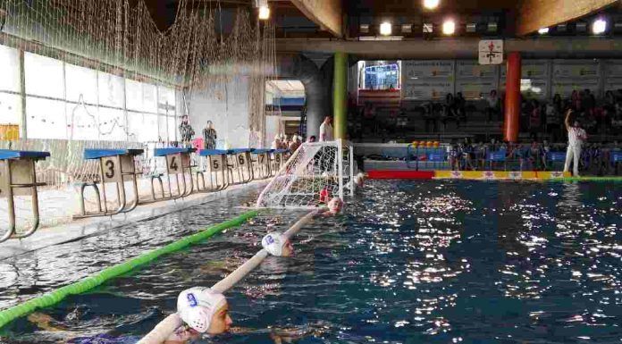 victorias del Waterpolo, Hockey y Rugby Alcorcón