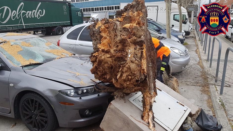 La borrasca Gloria también afecta a Alcorcón