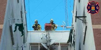 Incidencias por el viento en Alcorcón