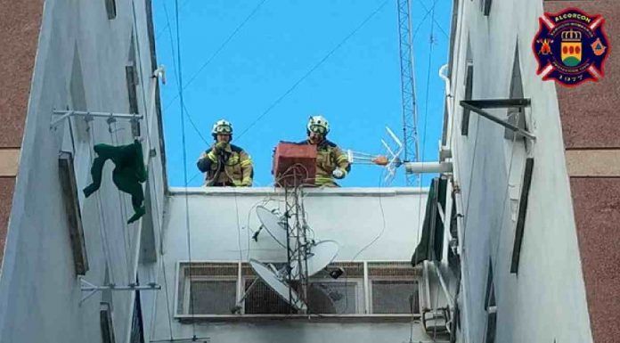 Incidencias por el viento en Alcorcón Incidencias por el viento en Alcorcón