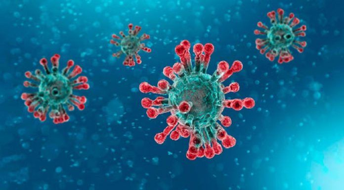 Cierre comercial de la hostelería en la Comunidad de Madrid por el coronavirus