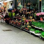 Flores contra el coronavirus en Alcorcón
