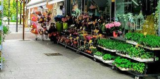 Flores contra el coronavirus en Alcorcón