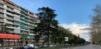 El 58% de los vecinos de Alcorcón consideran que el Estado de Alarma se prolongará después del 11 de mayo