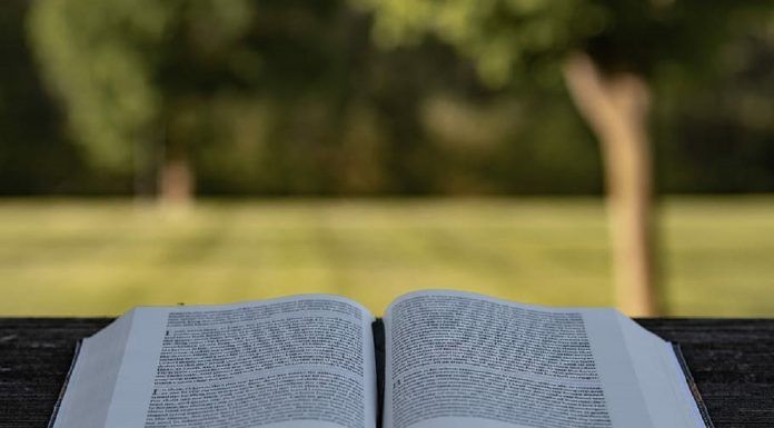 Por las librerías de Alcorcón en un atípico 23 de abril