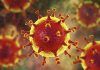 Un alcorconero de 71 años ha fallecido en Menorca por coronavirus