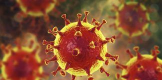Un alcorconero de 71 años ha fallecido en Menorca por coronavirus