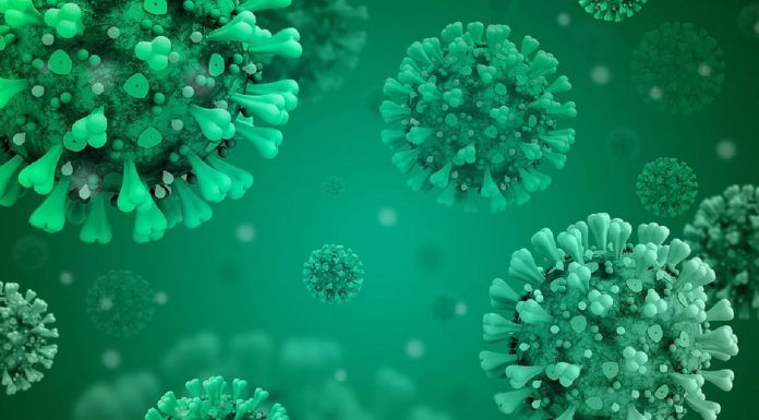 Alcorcón roza los 1.900 casos confirmados de coronavirus