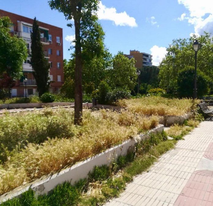 VOX Alcorcón exige la mejora de las zonas verdes de la ciudad