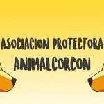 Arte solidario en favor de Animal Alcorcón