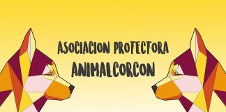 Arte solidario en favor de Animal Alcorcón