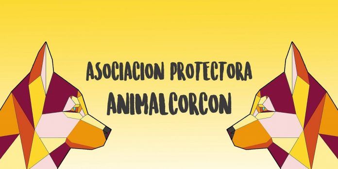 Arte solidario en favor de Animal Alcorcón