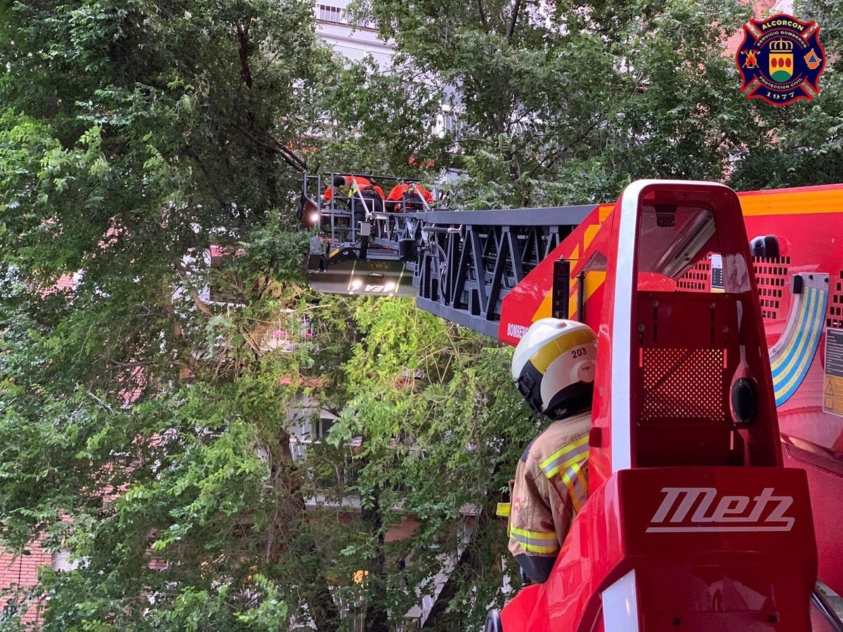 Abejas, incendios o ramas de árboles durante el fin de semana en Alcorcón