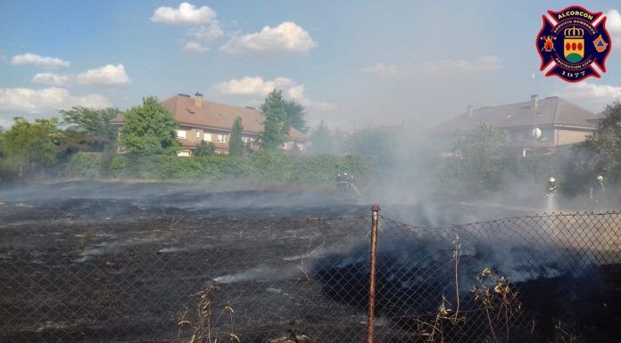 Incendios y vandalismo en Alcorcón