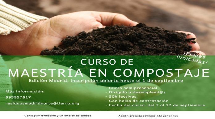 Curso gratuito para desempleados en Alcorcón