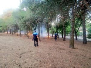 Incendio en el Parque de las Presillas de Alcorcón