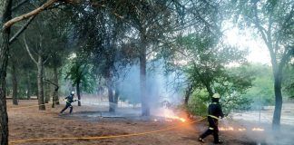 Incendio en el Parque de las Presillas de Alcorcón