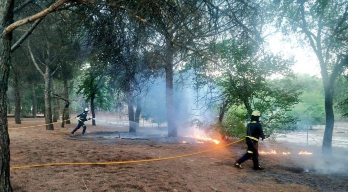 Incendio en el Parque de las Presillas de Alcorcón