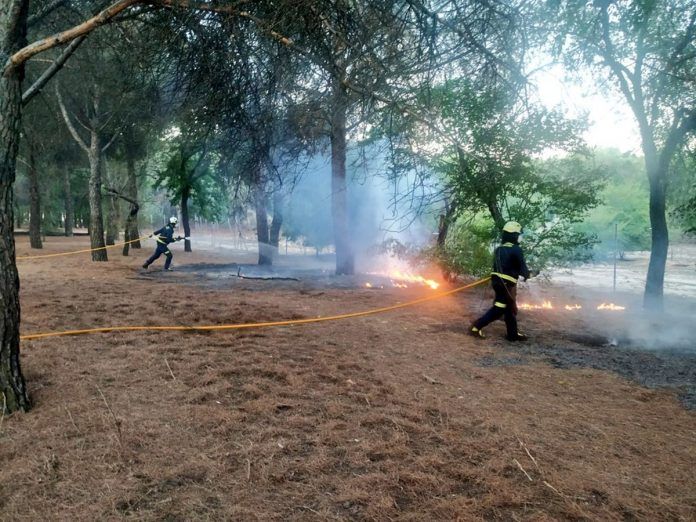 Incendio en el Parque de las Presillas de Alcorcón