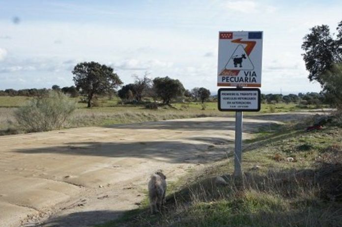 Las vías pecuarias de Alcorcón necesitan una limpieza urgente