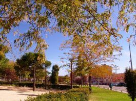 Alcorcón instalará una red de huertos urbanos