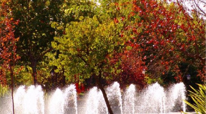El Parque de Los Castillos el favorito de los vecinos de Alcorcón