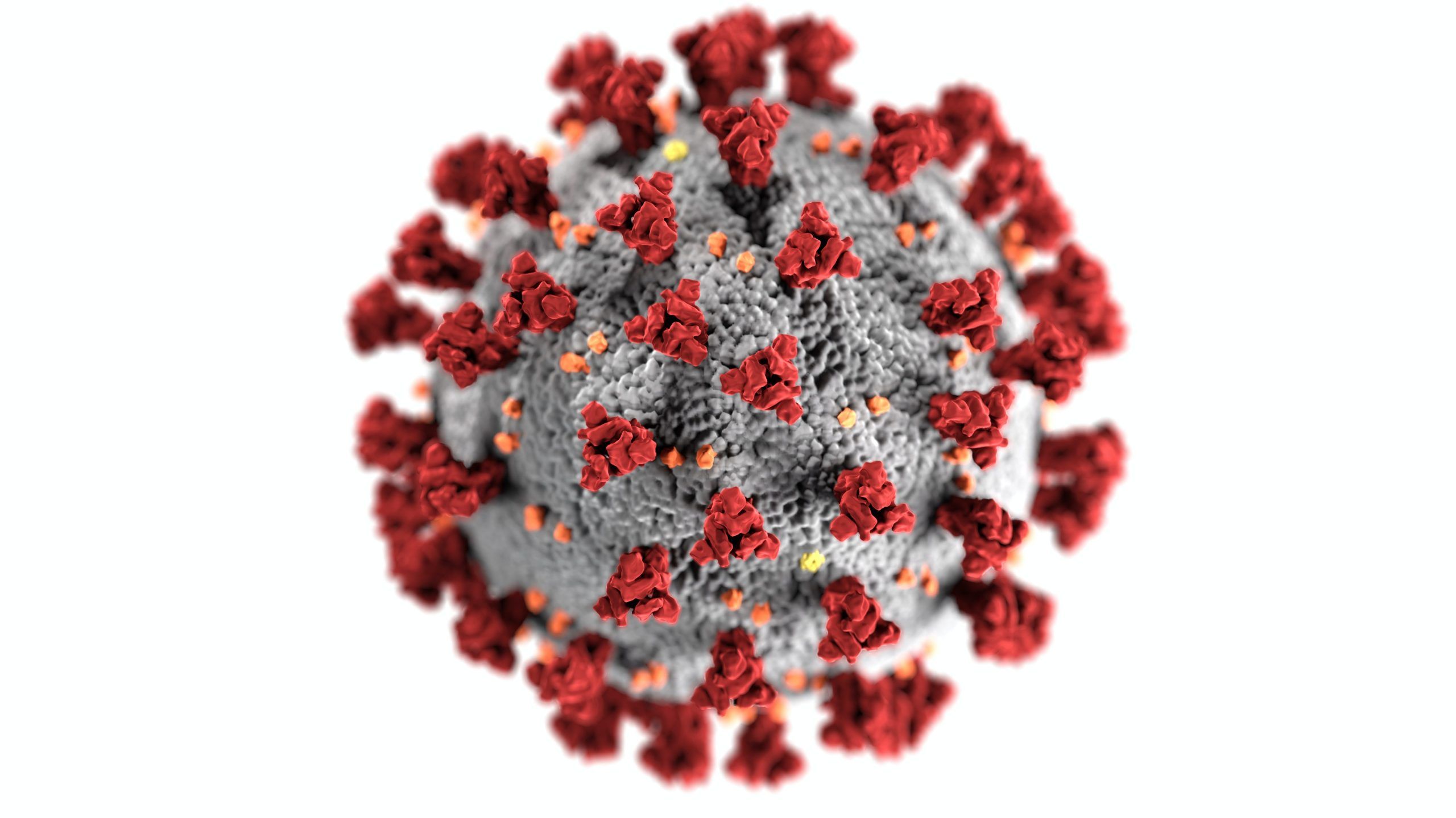 Alcorcón supera los 7.000 casos de coronavirus, pero sigue bajando la tasa de incidencia