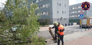 Dos días de intervenciones ante las incidencias del viento y la lluvia en Alcorcón