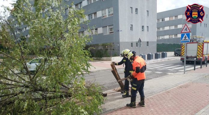 Dos días de intervenciones ante las incidencias del viento y la lluvia en Alcorcón