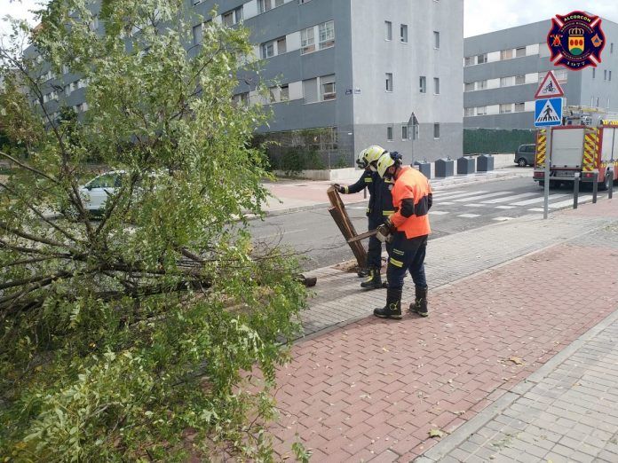 Dos días de intervenciones ante las incidencias del viento y la lluvia en Alcorcón