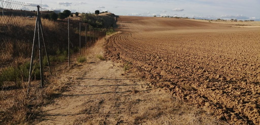 Un agricultor de Alcorcón hace desaparecer un camino auxiliar de la M-50