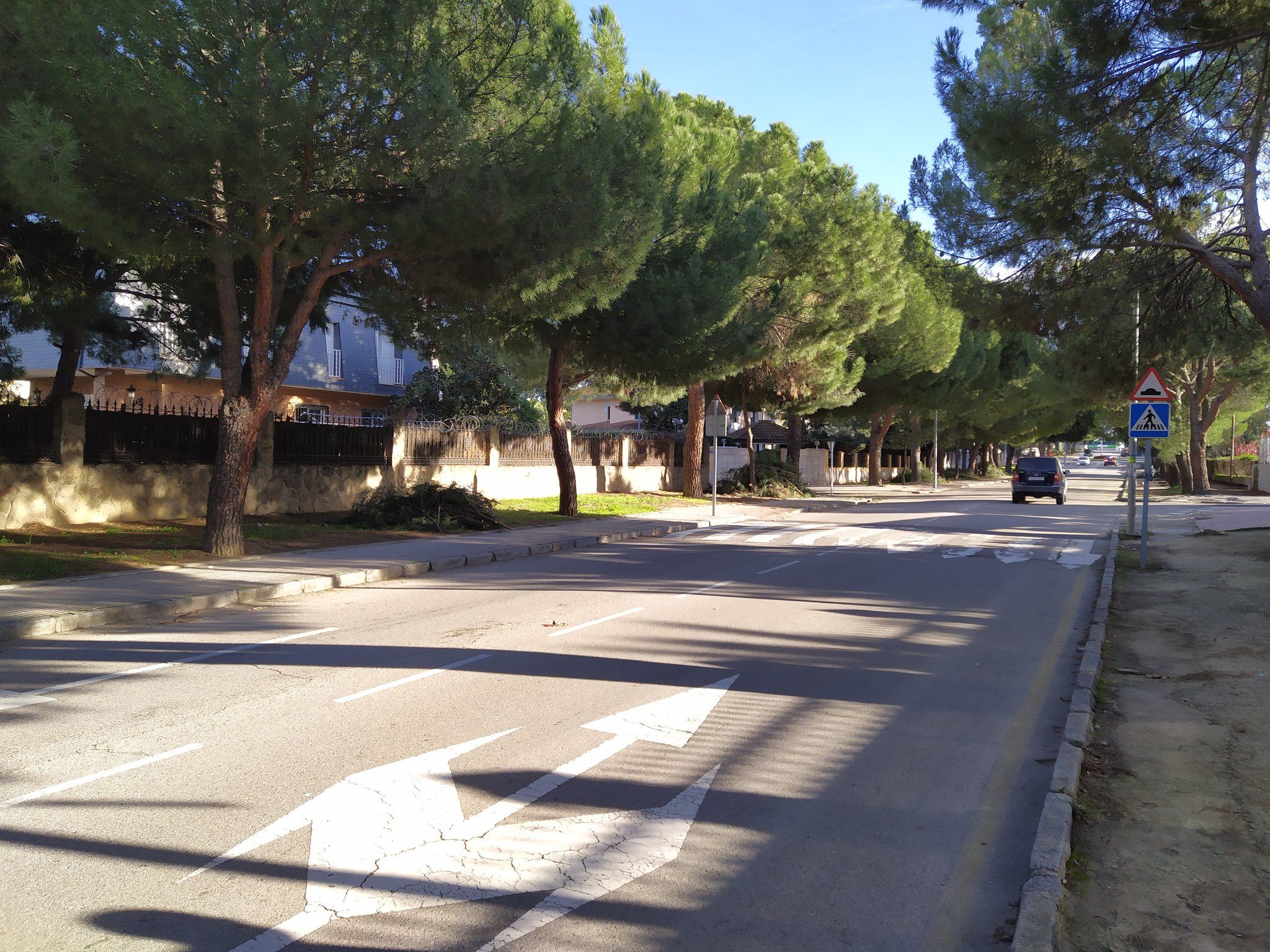 Alcorcón inmerso en plena campaña de poda