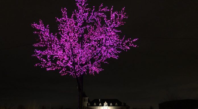 Más de la mitad de los vecinos no están contentos con las luces de Navidad de este año en Alcorcón