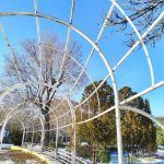 alcorcon-confinamiento