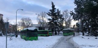 Alcorcón pide que el transporte público sea gratuito en la ciudad durante los próximos días