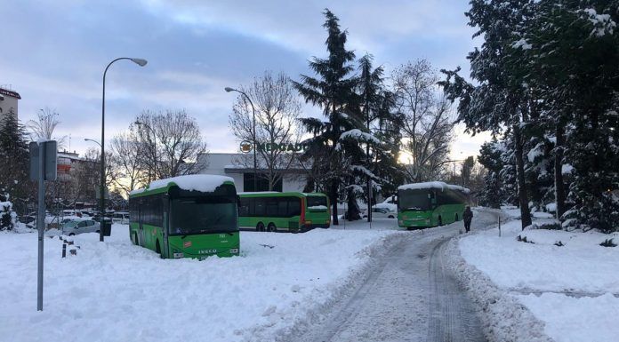 Alcorcón pide que el transporte público sea gratuito en la ciudad durante los próximos días