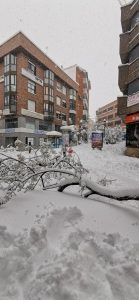 Derrumbamientos de árboles y tejados en Alcorcón