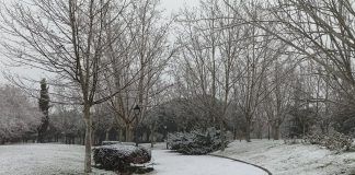 Las mejores fotos de la gran nevada en Alcorcón