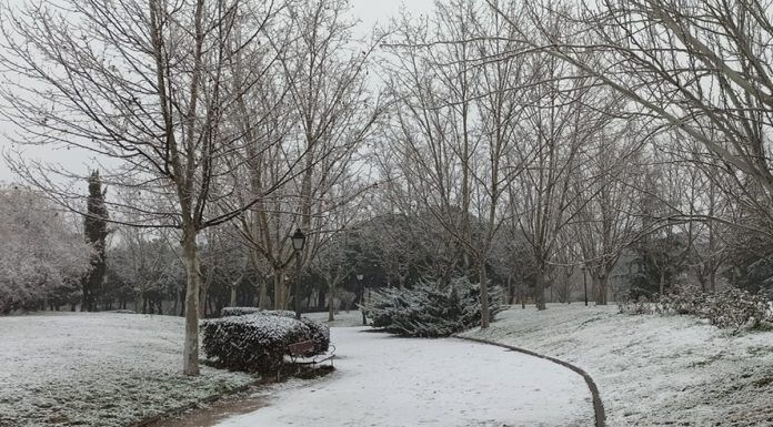 Las mejores fotos de la gran nevada en Alcorcón